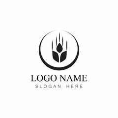 Agriculture wheat vector icon design