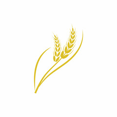 Agriculture wheat vector icon design