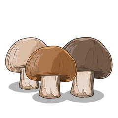 Champignon Mushroom Collection Colorful Hand Drawn Illustration Set