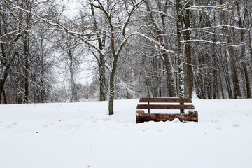 snow covered wooden bench made from tree trunk in the winter park