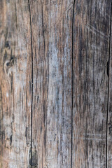 Fototapeta premium Old grunge textured wooden background,The surface of the old brown wood texture