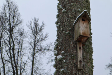 wooden birdhouse on a tree in winter park