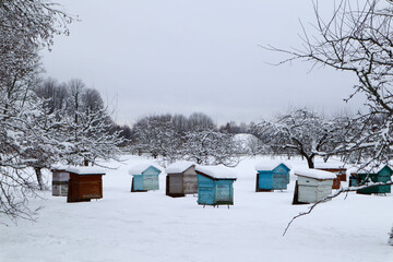 view of a winter apiary with snow covered beehives