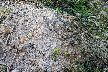 A pile of dug soil near the rat hole in agricultural land