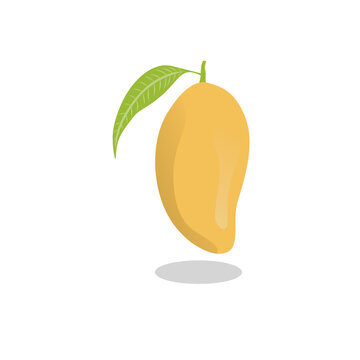 mango flat design vector illustration