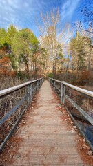 Wooden bridge in the autumn forest