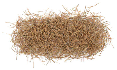 Pile of pine needles isolated on white background. Heap of dried coniferous tree needles, top view.