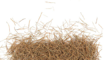 Pile of pine needles isolated on white background. Heap of dried coniferous tree needles, top view.