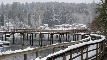 Winter on Bainbridge Island