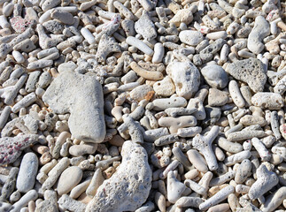 Close up of the fossilized coral beach on the coast of the island of Bonaire.