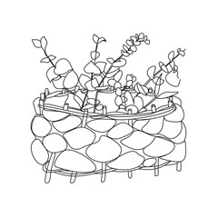 Abstract vmedicinal herbs vector line drawing. Portrait minimalistic style. Botanical print. Nature symbol of cosmetics. Eucalyptus vector one line art. Fashion print. One line Botanical illustration.