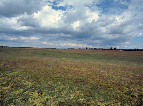 Meadows on the Narew River, Czartoria, Poland
