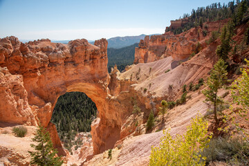 natural bridge over canyon