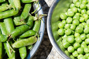 Top view of organic green peas in the metal bowls. Concept of healthy eating
