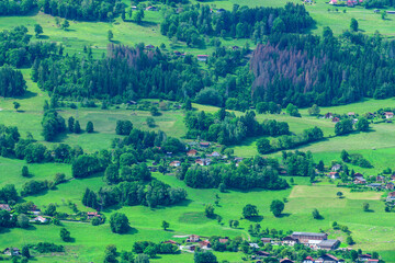 Trees and Fields in the Countryside towards Passy in the Mont Blanc Massif in Europe, France, the Alps, towards Chamonix, in Summer, on a Sunny Day.