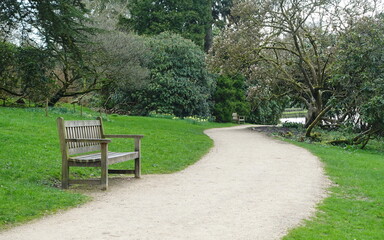 Wooden bench on a winding path in a country park
