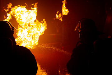 Brandbek&auml;mpfung