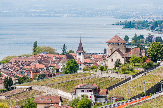 Lutry, Lavaux, Genfersee, Weinberge, Dorf, See, Seeufer, Wanderweg, Weinberg-Terrassen, Weinbauer, Fr&uuml;hling, Waadt, Schweiz