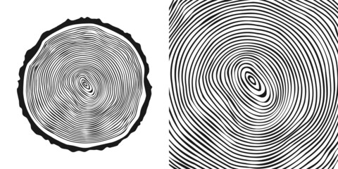 Round tree trunk cut, sawn pine or oak slice. Saw cut timber, wood. Wooden texture with tree rings. Hand drawn sketch. Vector illustration