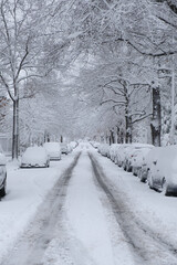 Snow Covered Street