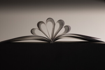 Aufgeklapptes Buch in graphischer Darstellung