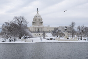 Christmas at the Capitol