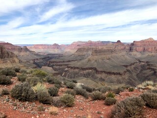 the grand canyon