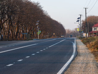 Road lined with autumn trees. Cross hatching road marks line the centre of the road