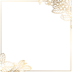 Gold square frame with Christmas branches, berries and flowers. White background. Vector illustration.