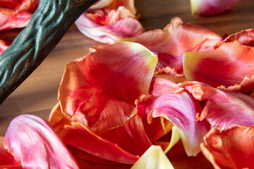 Tulpenblüten Stillleben