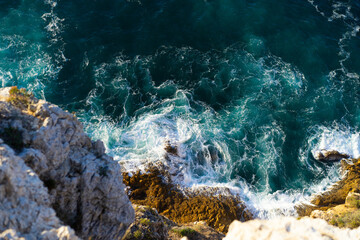 coral reef in the ocean