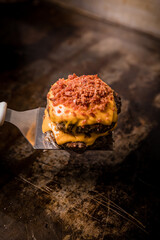 
Perfect Burger Classic Homemade Artisan Bacon Tomato Sauce Sausage Sweet Melted Cheese Onion Chicken Meat Pasta Shrimp Restaurant Menu Gourmet