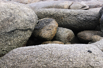 Rocks at the beach