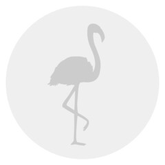 Flamingo. Cartoon birds. Bright colors. Print for polygraphy, t-shirts and textiles. Web icon