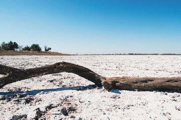 Saltpeter in Argentina 