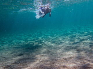 nuotare 475 © bellux