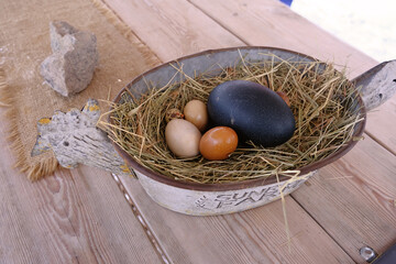 Eggs on straw from different birds in one metal basket. The color of the laid eggs: dotted quail, orange pheasant, purple emu, pale yellow peacock.
Veterinary, Farming, Livestock