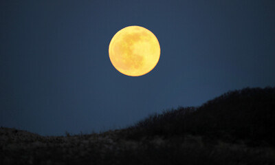 Moonrise in the Dunes at the Cape Cod National Seashore
