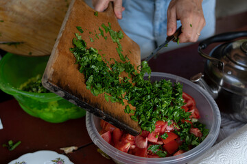 cooking salad from greens in nature