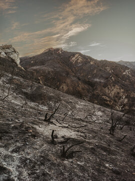 burnt mountain after fire 