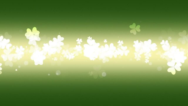 Fly white Saint Patrick shamrocks flowers, national Ireland holidays style background
