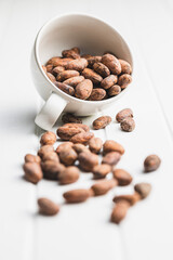 Dried cocoa beans. Cacao beans in cup.