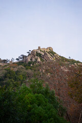 ruins of the old castle