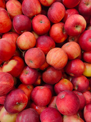 ripe yellow and red apples of the last harvest on the supermarket counter
