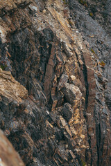 rock in the mountains