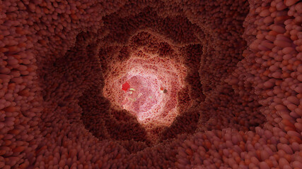microvilli surface of digestive system, Intestinal villi with bacteria and viruses. Microscopic villi, capillaries for digestion and absorption of food. Human intestine. H. pylori, 3d render