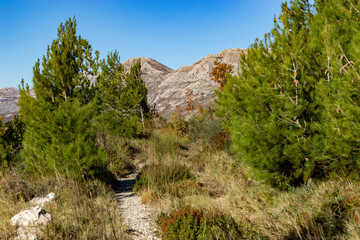 Ecological stone trail along the rocky coast of Mediterranean sea. Croatia