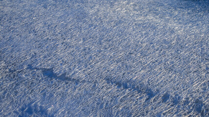Network of cracks in thick solid layer of ice of a frozen river