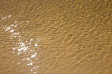 The sandy bottom is yellow, yellow sand under water. The sun rays are reflected on the surface of the water. The texture of the seabed.