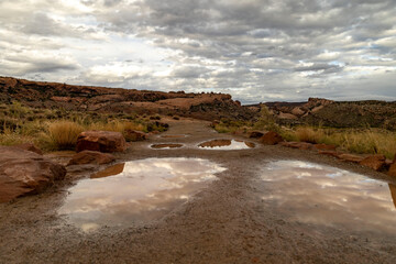 Reflections in the desert